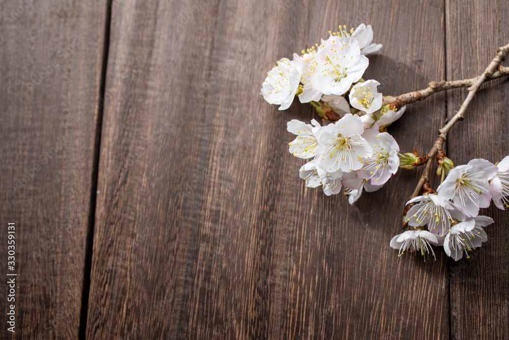 満開の桜 満開の桜