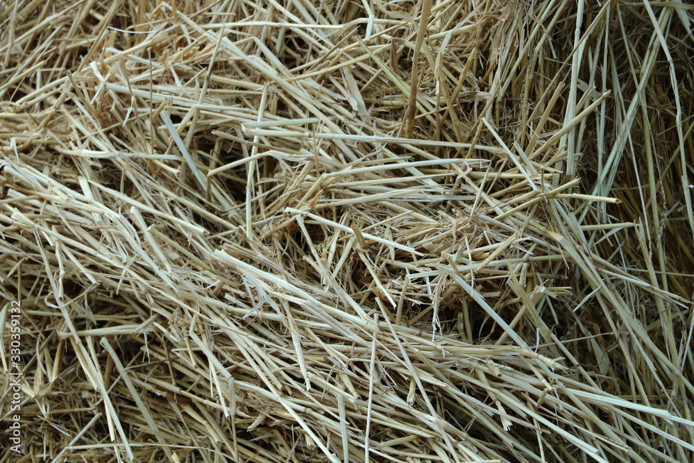hay stack hay stack