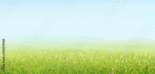 Summer Landscape. Nature horizontal background.