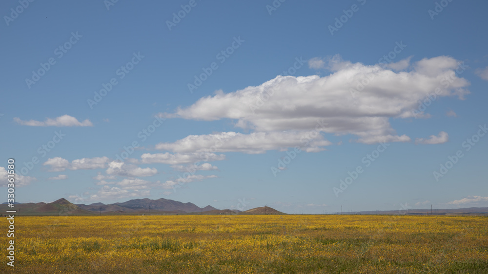 Field Field