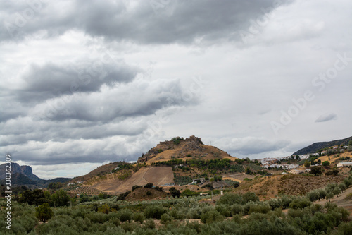 Andalusian landscape with yellow hills and green olive trees plantations