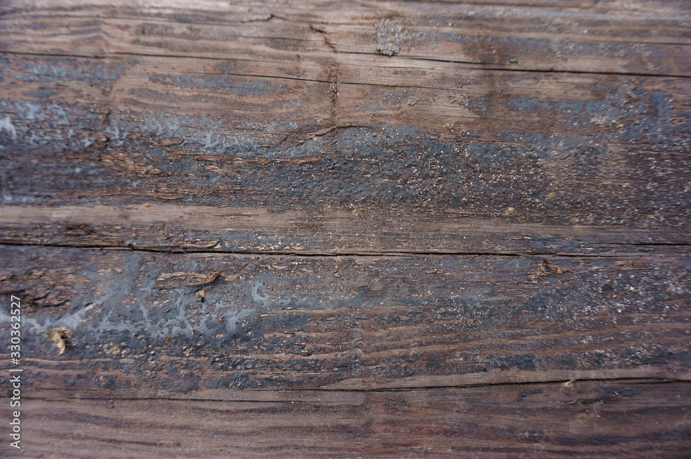 Fototapeta premium old wood texture background