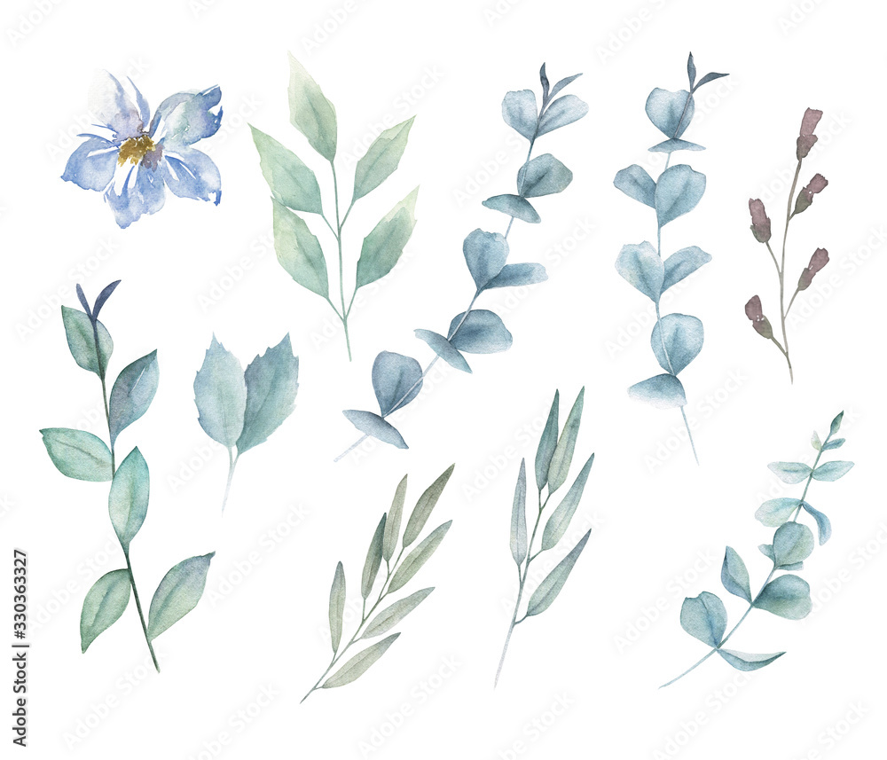 Obraz Zestaw akwareli zieleni. Ręcznie rysowane ilustracja zima z gałęzi eukaliptusa, kwiatów i liści. Roślina botaniczna w stylu vintage