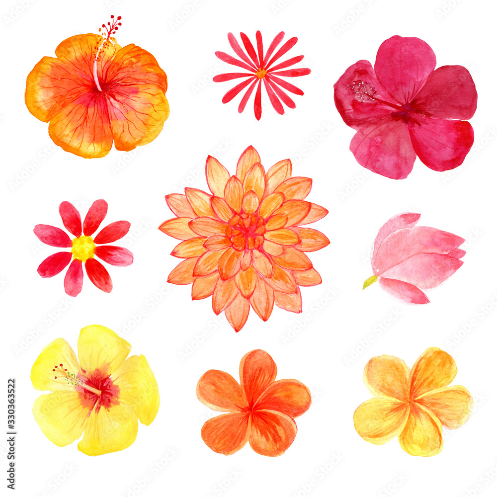 Set of watercolor tropical flowers isolated on a white background. collection of flowers in red colors