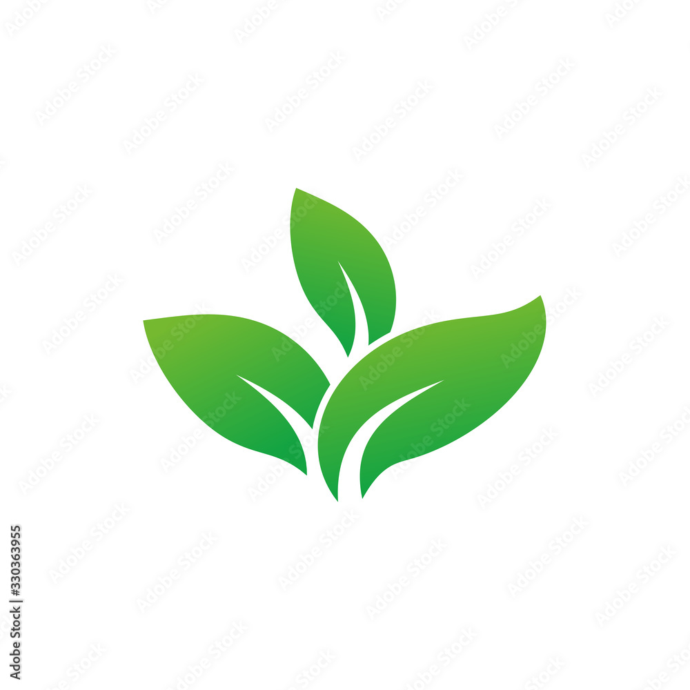 leaf icon vector logo template