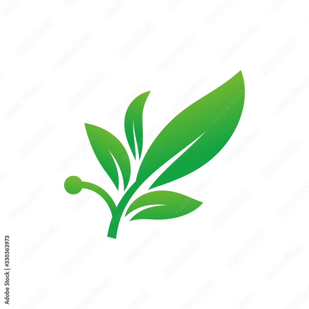 Fototapeta premium leaf icon vector logo template