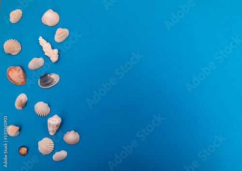 Seashells on a blue background, top view. Summer concept.