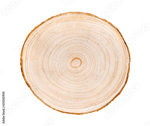 Wood slice with with growth rings isolated on white. Natural smooth wood texture.