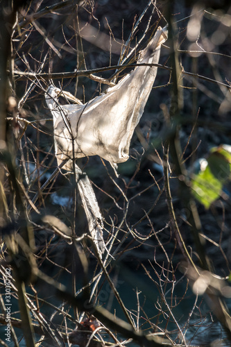 Plastic waste thrown away in the middle of nature