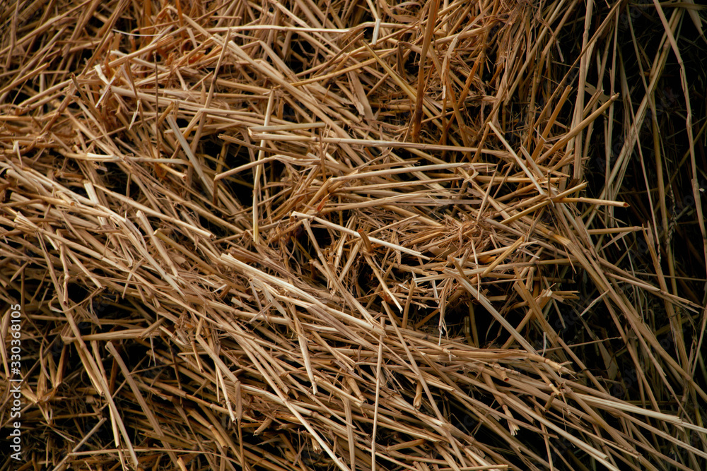 hay stack