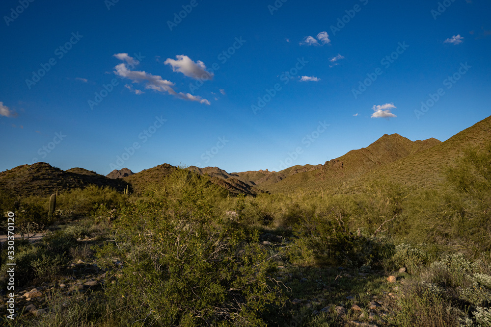 sonoran desert mountians in Arizona at sunset