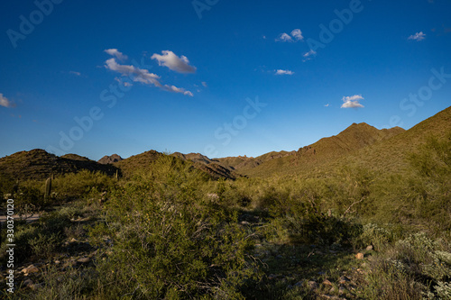 sonoran desert mountians in Arizona at sunset