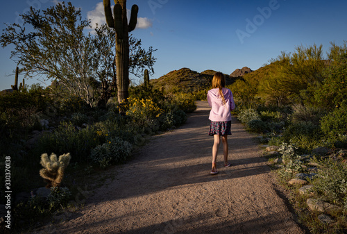 out for a walk at sunset in the Sonoran desert