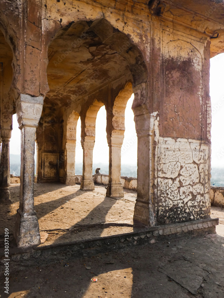 Monkey Temple Jaipur 