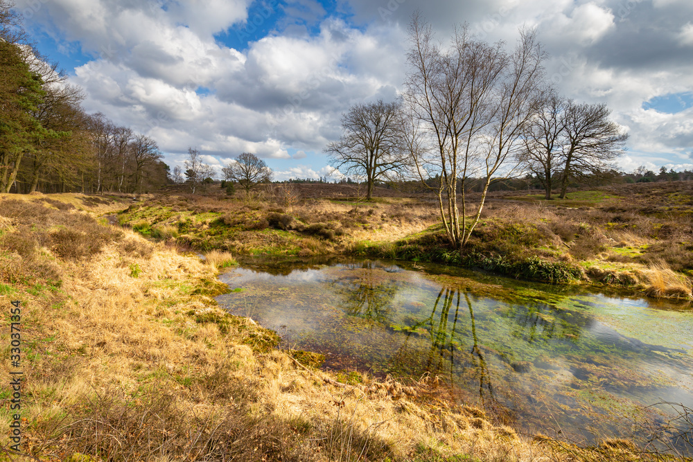 Lttle pond in Wolfhezer heath nature momument area in Gelderland, Netherlands