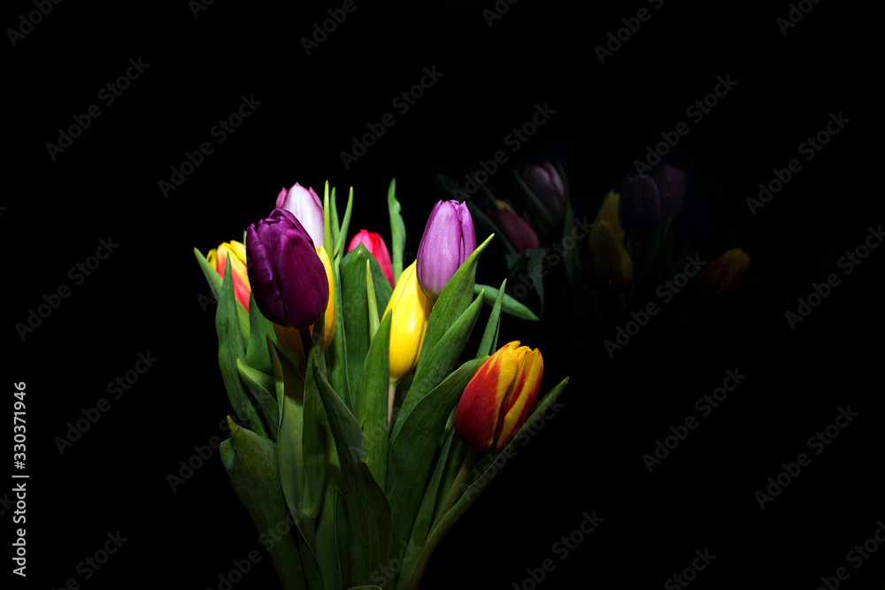 Fototapeta premium multicolored tulips on a black background with reflection