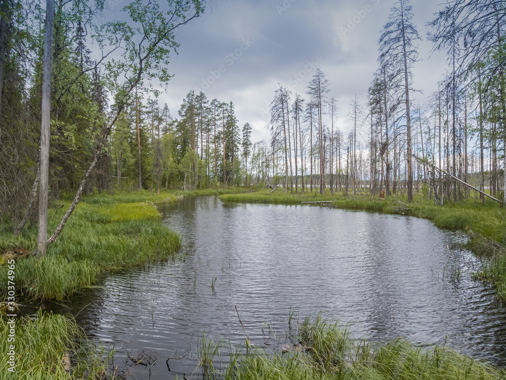 Landscape of severe Karelian nature. Wild nature. Desktop Background Photos