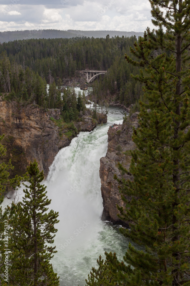 Upper Falls in the Yellowstone River Upper Falls in the Yellowstone River