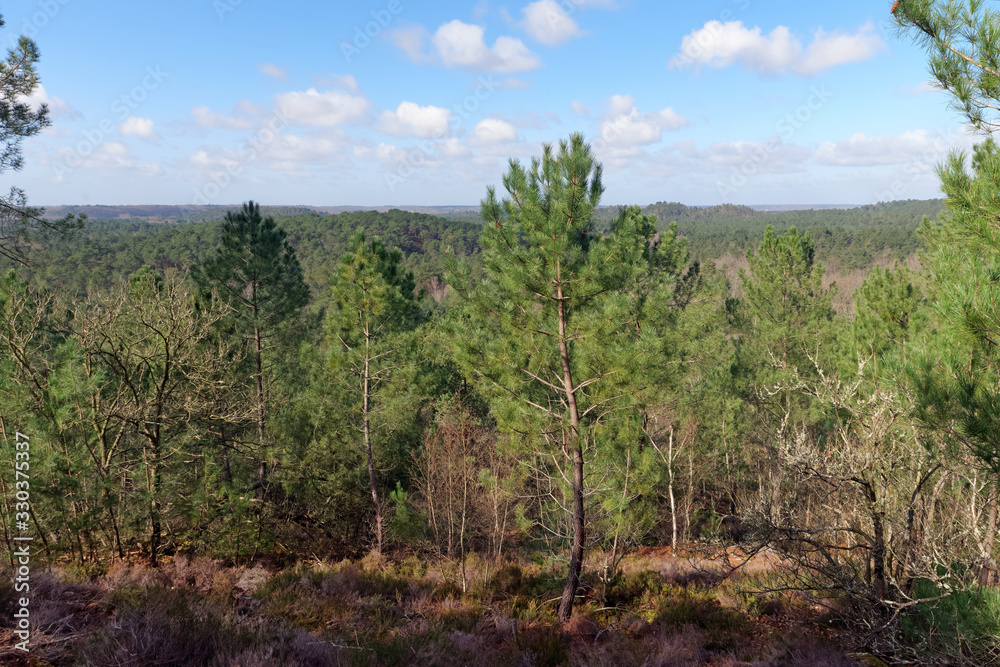 hills of the trois pignons forest in the French Gâtinais regional nature park hills of the trois pignons forest in the French Gâtinais regional nature park