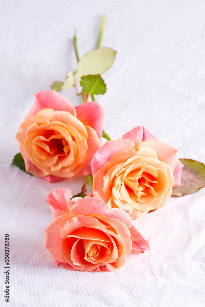Fototapeta premium Beautiful bouquet of fresh natural roses flowers on a table covered white cloth against light grey wall.