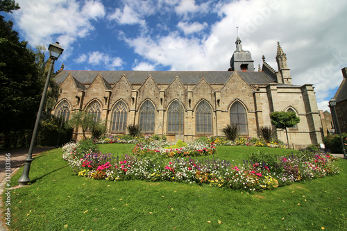 Fougères photo