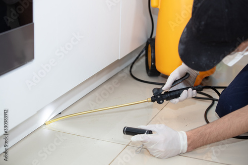 pest control worker With Flashlight  Spraying Insecticide