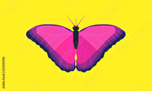 butterfly on yellow background