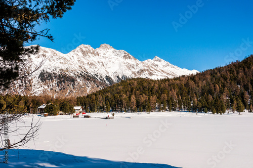 Pontresina, Stazersee, Stazerwald, Oberengadin, Winter, Wintersport, Winterwanderung, Langlauf, Piz Languard, Schafberg, Alpen, Graubünden, Schweiz photo