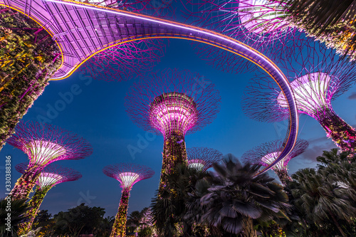 Light show at Garden by the bay