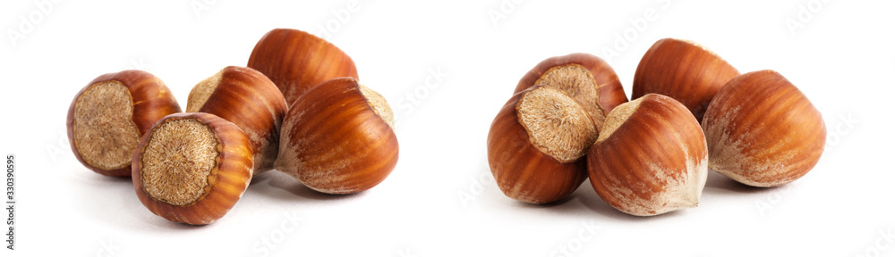Hazelnuts isolated on the white background Hazelnuts isolated on the white background