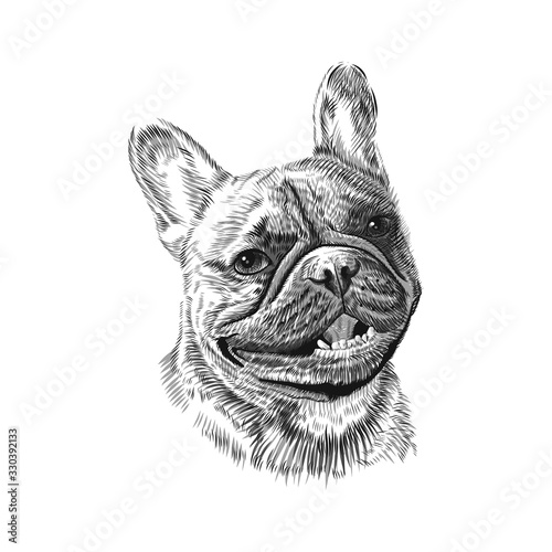 French Bulldog head, hand drawn pet animal sketch. Vector black and white monochrome illustration.