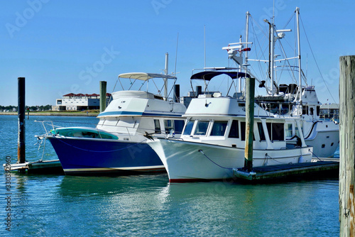 boats in harbor