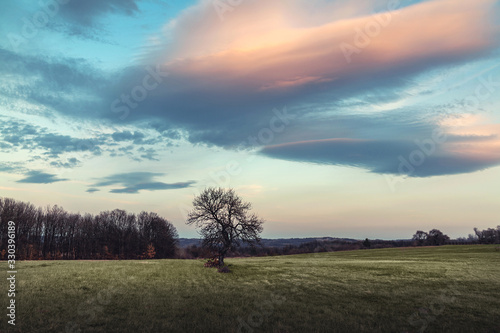 Farm tree