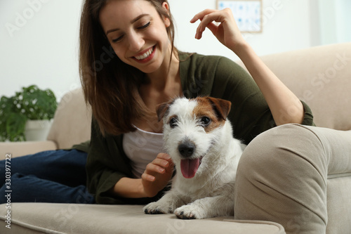 Young woman with her cute Jack Russell Terrier on sofa at home. Lovely pet © New Africa