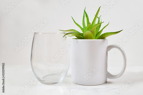 Stemless Wineglass and 11 oz. Coffee Mug Mockup with Aloe Vera Plant