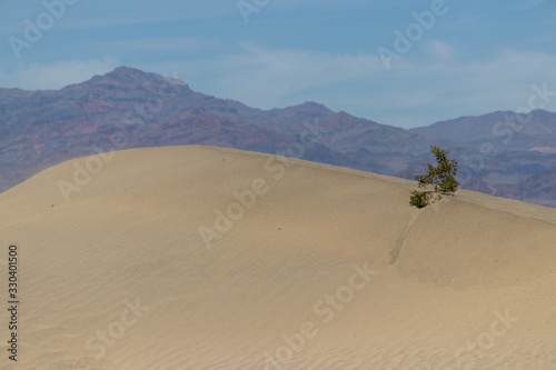 sand dunes in death valley