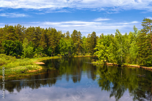 Peaceful summer landscape with forest and river