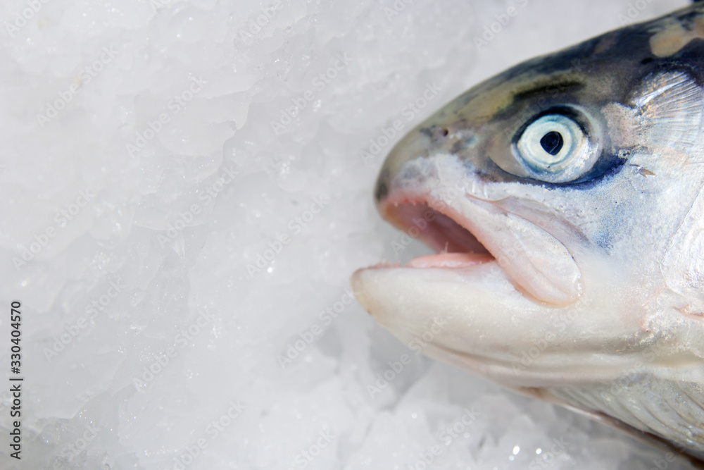 Closeup of fish heads on ice at a fish market. Mouths open