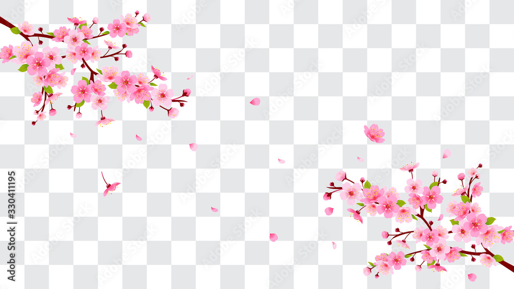 Spring Sakura branch with falling petals Vector illustration. Pink ...