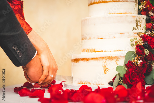 Wedding Cake Cutting with Intimate Couple photo