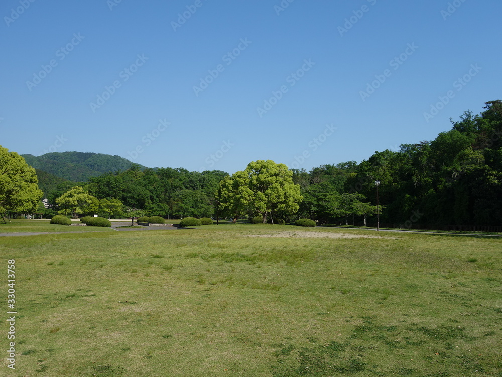 Fototapeta premium 5月の新緑の公園