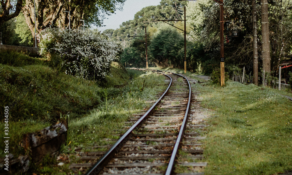 Fototapeta premium railway in the forest