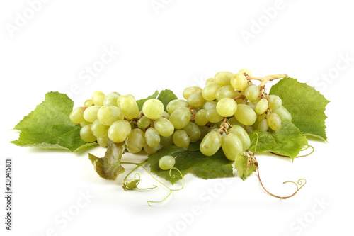 Fototapeta Green grape on leaves