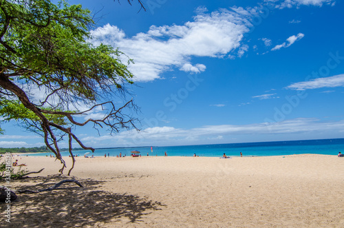 One of the best beach with crystal clear water Big Beach Maui Hawaii USA