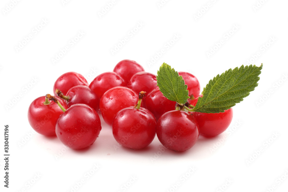 Far eastern cherry and leaves Far eastern cherry and leaves