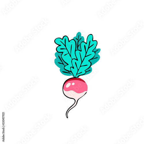 Bright vegetable illustration for design and graphics, healthy food. Hand-drawn radish in doodle style isolated on white background.