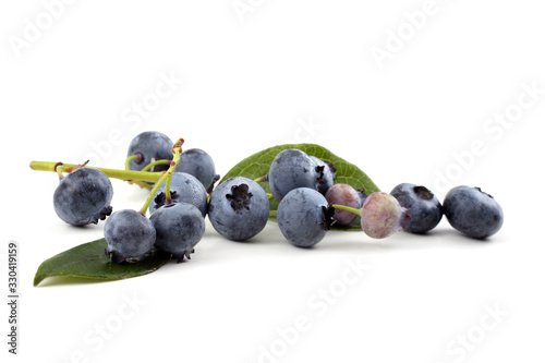 Cluster of blueberries