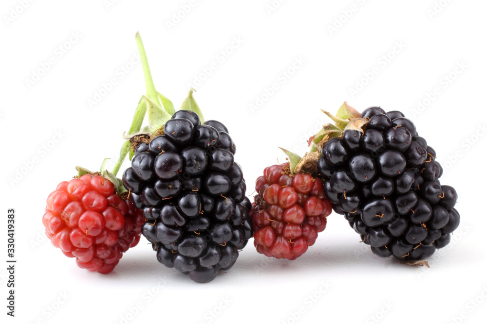 Blackberries Blackberries
