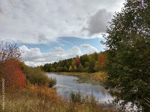 multicolored colors of nature on an autumn day