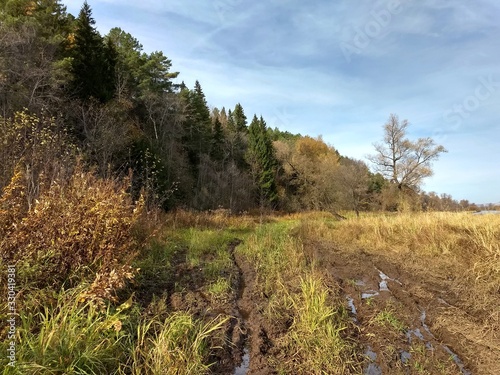 off-road terrain against a forest landscape and blue sky